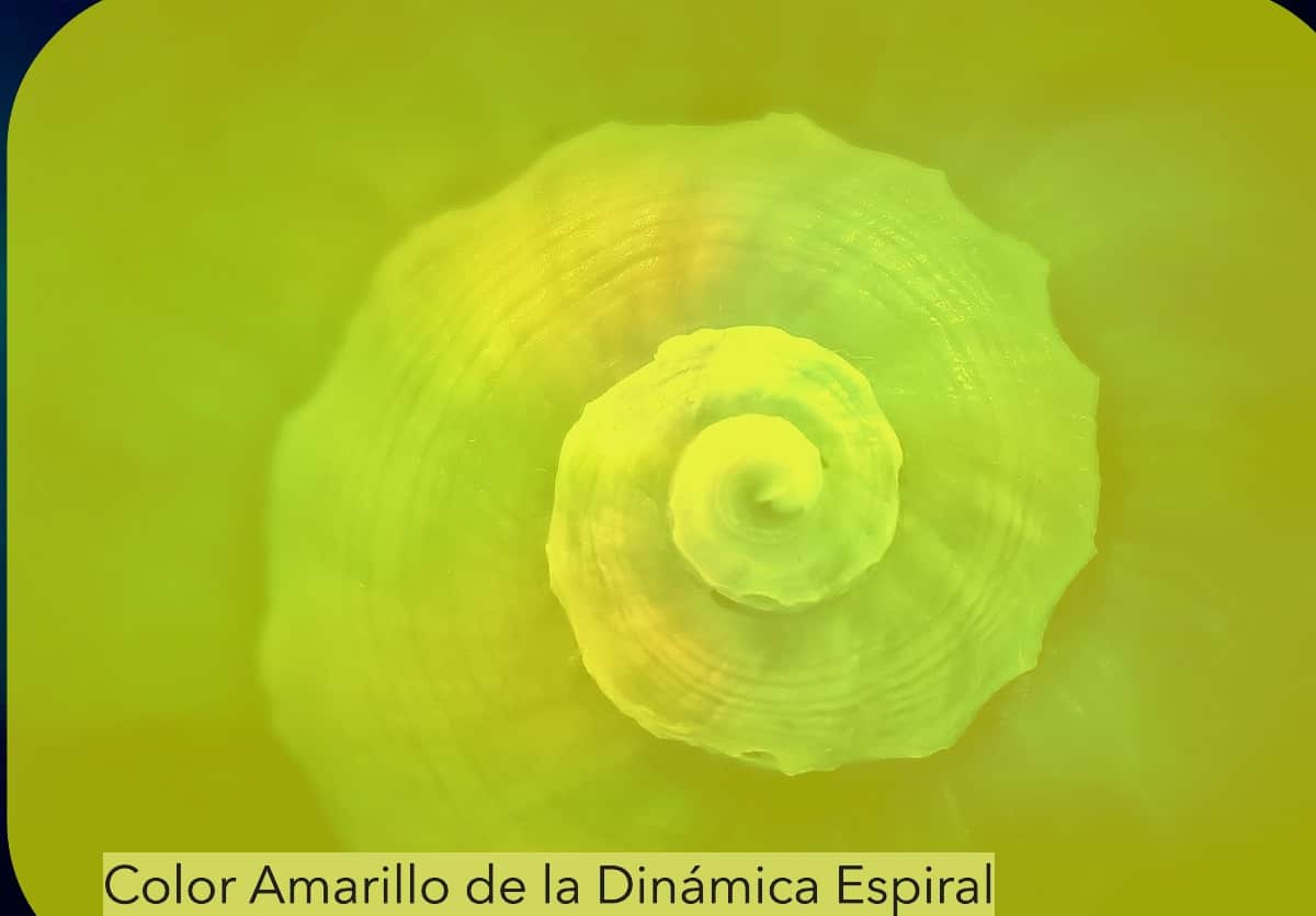Nivel Amarillo de la dinámica espiral
