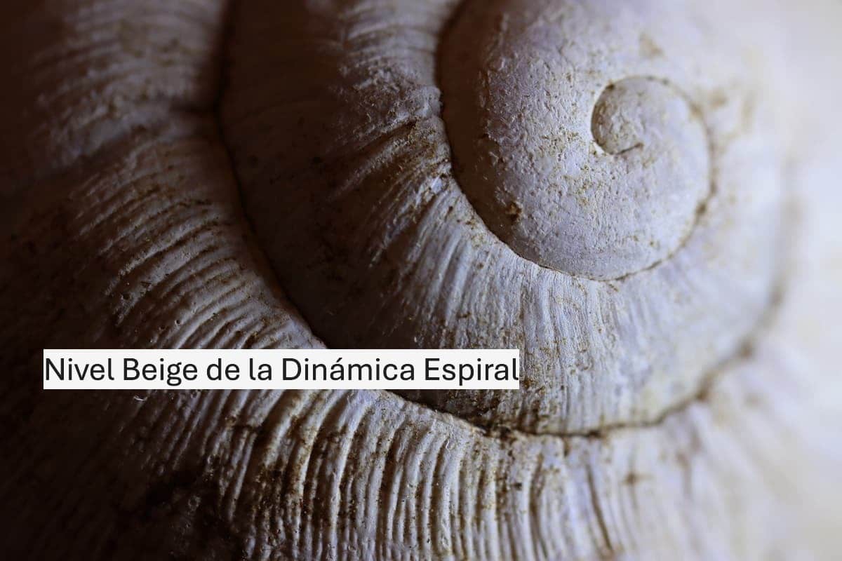 Nivel Beige de la dinámica espiral