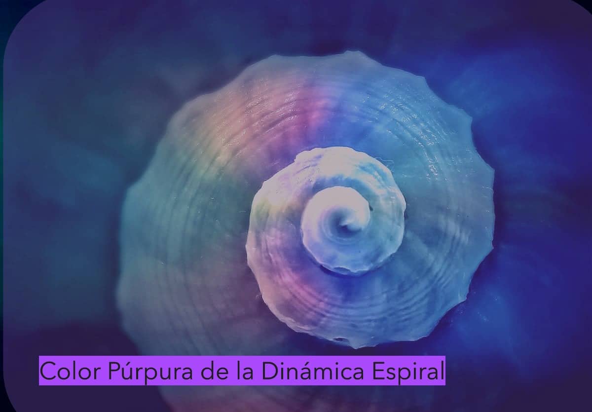 Nivel Púrpura de la dinámica espiral