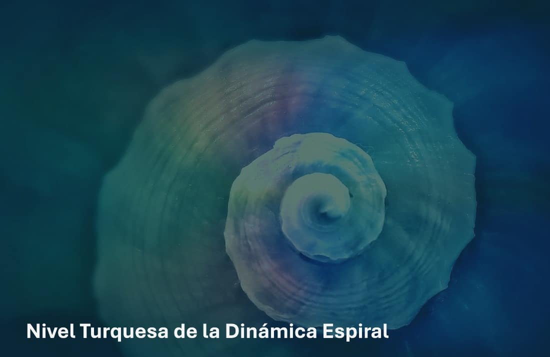Nivel turquesa de la dinámica espiral