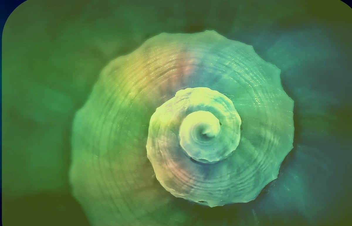 Nivel Verde de la dinámica espiral